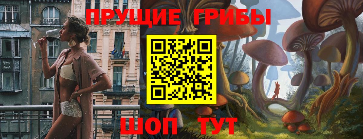 Галлюциногенные грибы прущие грибы  Вход с VPN  закладки  Альметьевск  Псилоцибиновые грибы Cubensis 