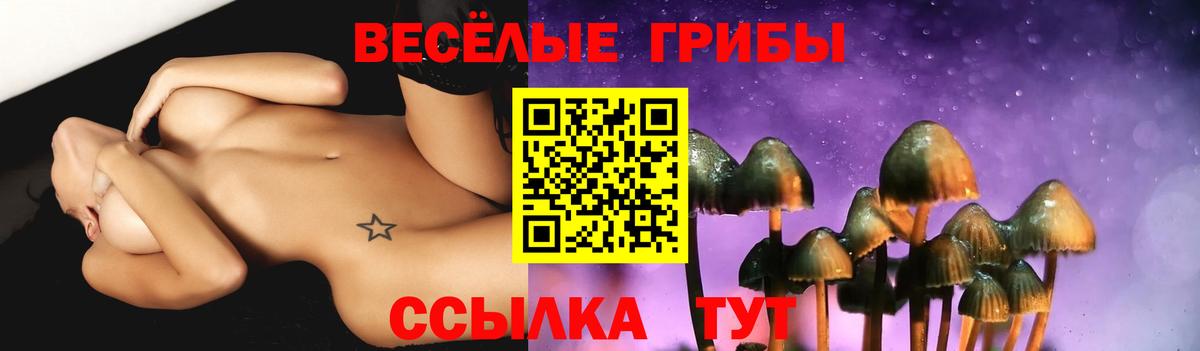 Галлюциногенные грибы Альметьевск
